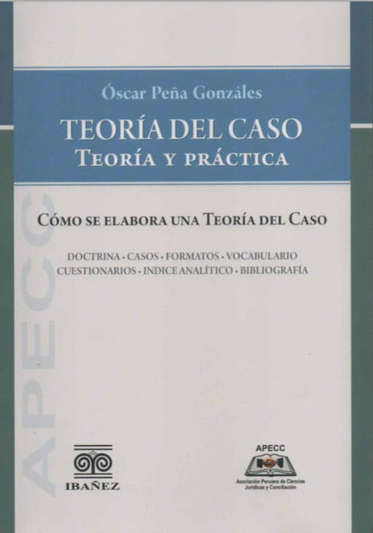 TEORÍA DEL CASO